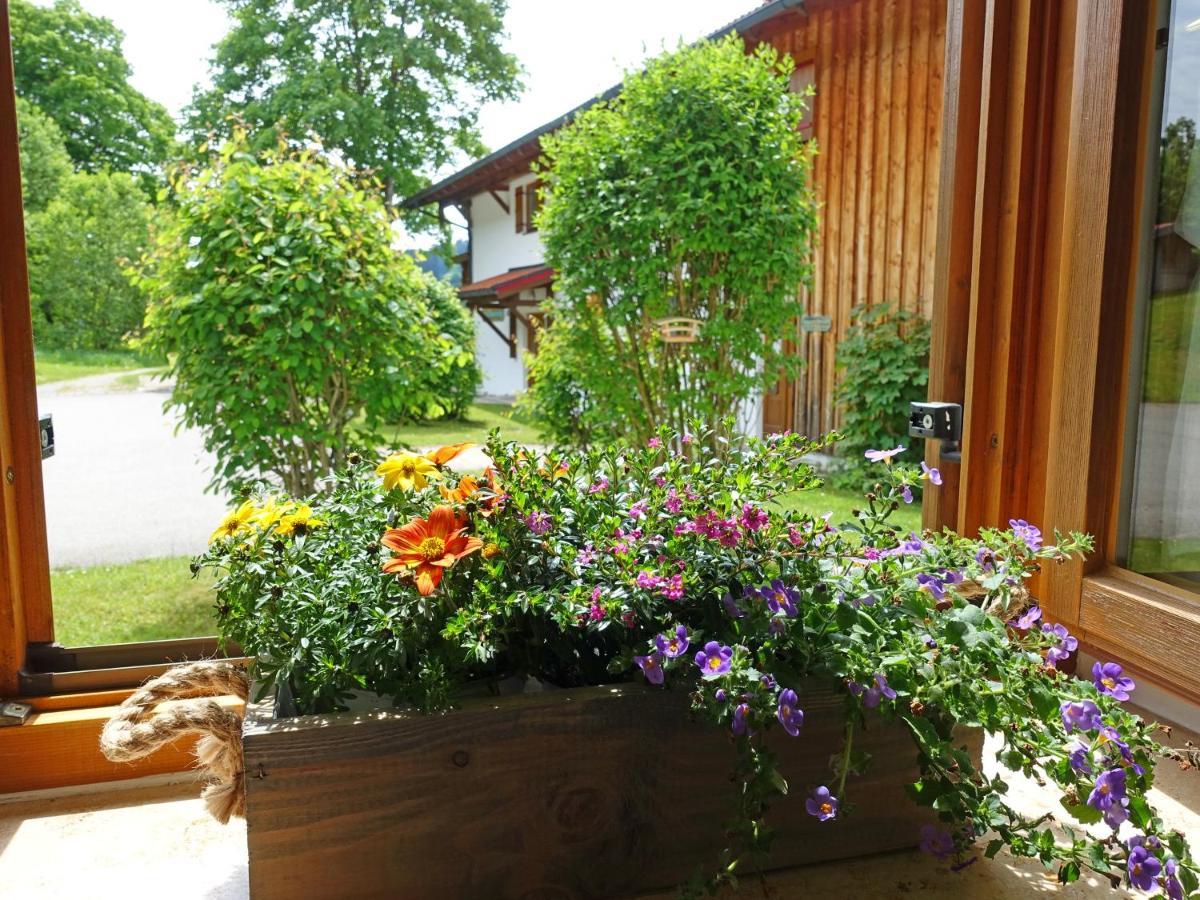 Ferienwohnung Murmeltier Sachrang Extérieur photo